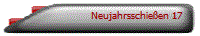 Neujahrsschie�en 17