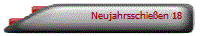 Neujahrsschie�en 18