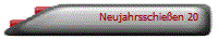 Neujahrsschie�en 20